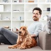 Início negócio animais de companhia