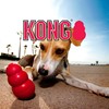 Representação KONG